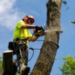 Profile picture of Tree Removal Melbourne