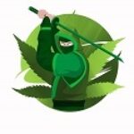 Profile picture of CBD Marketing Agency